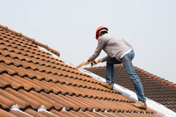 Gutter Replacement in Washington Park, FL